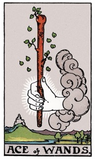Rider–Waite Ace of Wands tarot card showing a hand emerging from a cloud holding a sprouting wand, symbolizing inspiration, creative beginnings, and new potential.