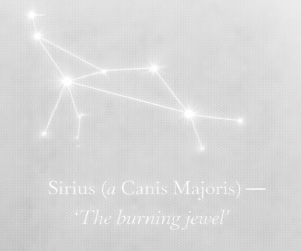 Depiction of Sirius symbolizing brilliance, devotion, leadership through heart, collective recognition, and inspirational presence.